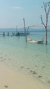 4.6K reactions · 163 shares | Starfish Beach, real paradise! | Traveling on Broom | Facebook