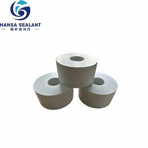 [Hot Item] Heavy-Duty Glass Filled PTFE Compression Molded Plastic Tube