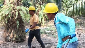 1.2K views · 20 reactions | En NAISA, se trabaja con honradez, integridad y lealtad, brindando trato justo tanto a los colaboradores hombres como mujeres. | Telediario | Facebook