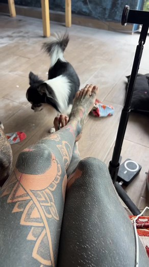 Trinity Eclectic on TikTok