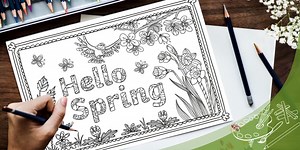 Hello Spring Mindfulness Colouring Activity Poster