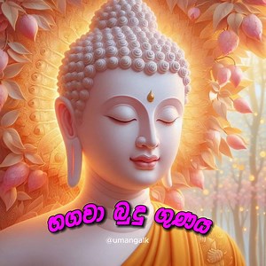 භගවා බුදු ගුණය..! | Umanga