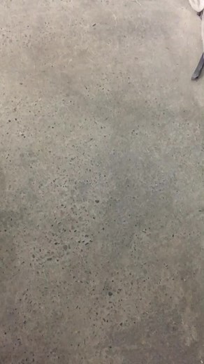 alexsandrive on TikTok