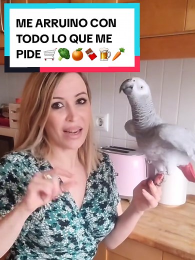 ¿Qué le pediría tu mascota en el supermercado?