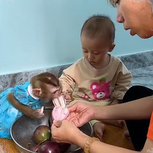 2.7K views · 182 reactions | Baby helps Mom wake up Monkey KaKa sleeping in the blue house | A Bi Monkey | Facebook