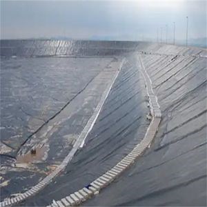 [Hot Item] High Density Polyethylene Black Plastic Pond Sheeting CE Geomembrane Liner HDPE Price for Biogas Digester Project