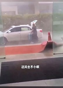 Masters in the folk, line out of the shape, one more than one cow | Videos Strive