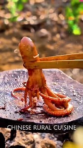 60K views · 84 reactions | Chinese rural cuisine, outdoor slate grilled squid, village cooking #fyp #reels #viral #trending⚡ | THUGZ | Facebook