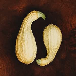 Golden Summer Crookneck Squash - 25 Seeds - Heirloom & Open-Pollinated Variety, Easy-to-Grow, Non-GMO Vegetable Seeds for Planting Outdoors in The Home Garden, Thresh Seed Company
