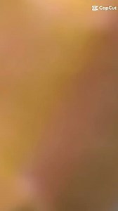 50K views · 792 reactions | MUCHAS GRACIAS MONTE AGUILA POR EL GRAN CARIÑO.BRAOS PERO BRAOS.. | Los Tigres de Parral | Facebook