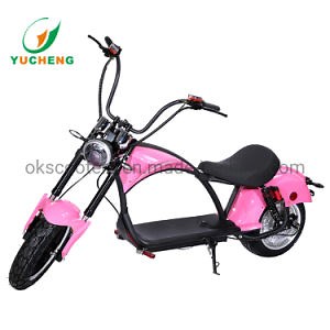 [Hot Item] 3000W Motocicleta Eléctrica 2 Scooter Citycoco Scooter Eléctrico para Adultos