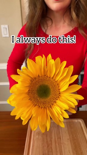 Sunflower Care Tips and DIY Solutions
