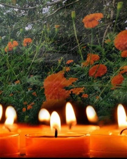 ️  Te invitamos a ser parte del #Memorial para encender una luz de...