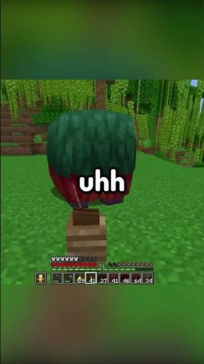 Minecraft Sniffer Gets Roasted