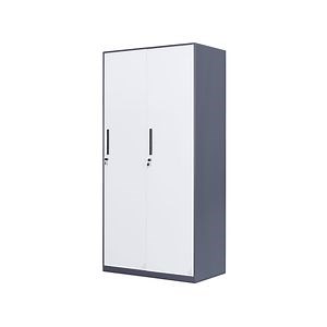 [Hot Item] Economical and Durable Two Door Steel Lockers Gym Office Cabinet