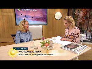 Advokaten: "Man måste lyssna på barnen" - Nyhetsmorgon (TV4)