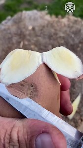 Carving Wood into Handmade Spoons | Yo Amo Viajar | Facebook