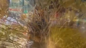 2.6K views · 106 reactions | This week in the UCKG Macau | UCKG Macau | Facebook