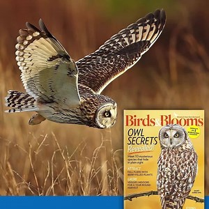 Birds & Blooms Magazine on Reels