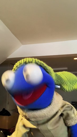 MUPPETPOOL on TikTok