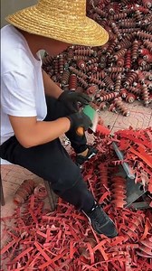 Lightning arrester disassembly