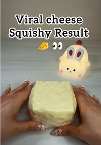Viral Cheese Squishy Filled with Vaseline: ASMR Result