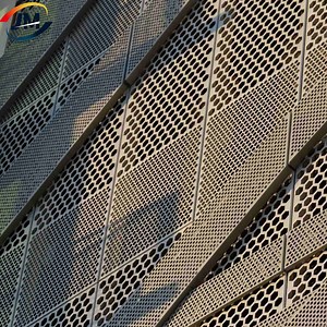 [Hot Item] Decorative Perforated Stainless Steel Sheet Metal