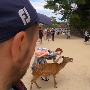 1.3K views · 145 reactions | Itsukushima Shrine in  Japan . #dodoexplorers #itsukushimashrine #japan | DodoExplorers | Facebook