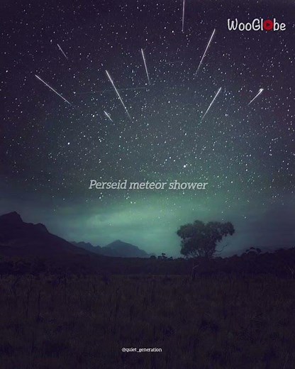 Perseid Meteor Shower: Dazzling Indian Night Sky Spectacle || WooGlobe