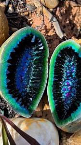 9K views · 209 reactions | Green and Rubellite Tourmaline on a shimmering black matrix with striking fluorescent accents. #fblifestyle | Gemstone Explorers | Facebook