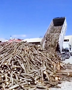 Discovering engineering! | Design