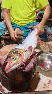 124K views · 280 reactions | Amazing Silver Carp Fish Cutting Skills In Bangladesh Fish Market By Expert Cutter #reelsviralシ #reels #reelsfbviral #reelsfbシ #reelsfacebook #reelschallenge #reelschallengereelschallenge #viralreelsfb #viralreelsfbpage #trendingvideo #fishcutting #trend #foryouシ | Fish Cutting Show | Facebook