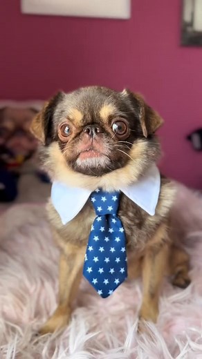 🛑Don’t do bagels 🥯 | Butter Bliss Bakery