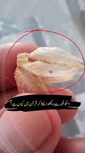 When you are stuck just remeber #motivation #urdu #hindi #islamic #Quran | Viral in Pakistan Media