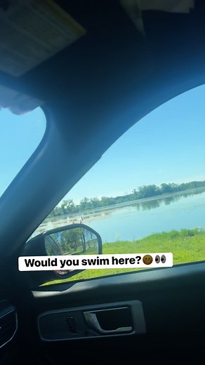 Would you swim here? #beach #swimming #MadisonWI #madison #contaminatedwater | Kelly Lutzow