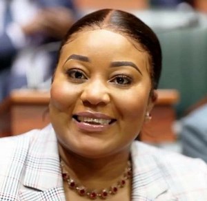 2.9K views · 29 reactions | This is Kampamba Mulenga a Cabinet Minister insulting. Chief Insultant | Zambia Today | Facebook