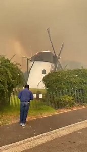 9.8K views · 63 reactions | Cape Town Fire Fighters battling massive Fire on the Mountain. All EMS services are on scene and working hard to bring it under control. The winds are picking up and the fire is spreading quickly. | Suburban Control Centre | Facebook