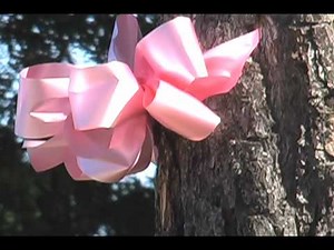 Breast Cancer Ribbons