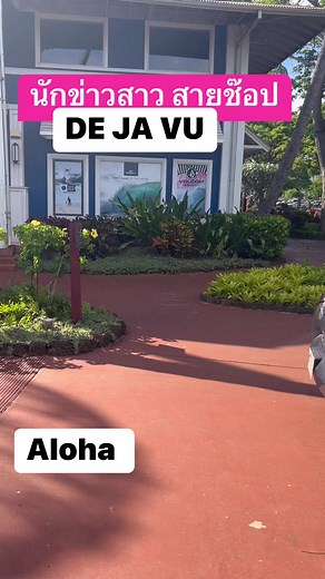 Dejavu JC On to GO #brand #คลิปกระแส #trunk #volcom #colorful #shopping #aloha #bag #surf #classic #poipu #bikini #hat #beach | JC La Bedz