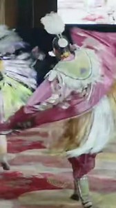 Fancy Shawl - Seminole Tribal Fair | PowWows.com