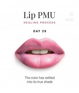 The healing process for lip treatments, such as lip blush, lip tint tattooing, or permanent makeup, typically follows these stages: 1. Days 1–2: Freshly Done • Appearance: Lips look bold, bright, swollen, and slightly glossy. • Sensation: Mild swelling and tenderness; lips might feel tight or warm. • Care: • Gently blot excess fluid with a clean tissue. • Apply the recommended healing ointment as advised by your technician. 2. Days 3–5: Scabbing Phase • Appearance: Lips may darken and start to f