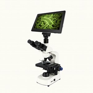 [Hot Item] Laboratory Instrument 4K Resolution Camera Digital Microscope Biological Microscope Biological for School Lab Research Study