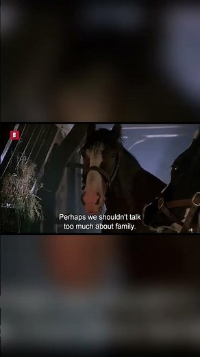 Top Scenes from Babe 2 | Best Moments from the Movie