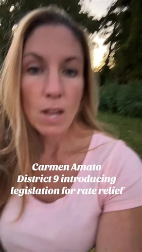 Senator Amato district nine drafting legislation for rate relief on electric bills #electric #rate #utility #newjersey #district9 | Teacher in NJ