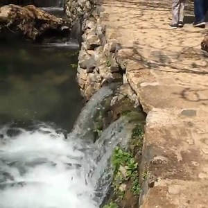 7K views · 495 reactions | Fresh water springs at Caesarea Philippi at the foot of Mount Hermon provide water for the Jordan River. Video by Chris McCullough - via instagram.com/mccullough202/ | Spirit of the Holy Land | Facebook