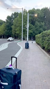 38K views · 1.4K reactions | VIP baggage service for Levi Aumua 拉 | Moana Pasifika | Facebook