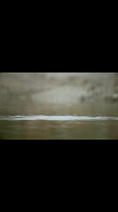 8.5K views · 283 reactions | Silahkan buat referensi perfileman phonescoping teman teman disini P40pro+eyepiece rakitan dewe ngawurr+lensa nikon 300mm | Agus Syaputra | Facebook