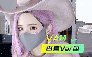 1分钟VAM教程 外部查看var包
