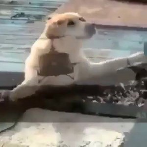 Zesty Memes | Vintage Memes for Reminiscing Teens