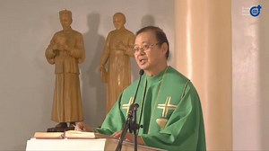 Feeling weary and troubled? Homily By Fr Bel San Luis SVD - July 5 2020 14th Sunday in Ordinary Time | Divine Word Media